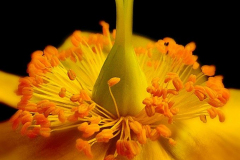 Picture4